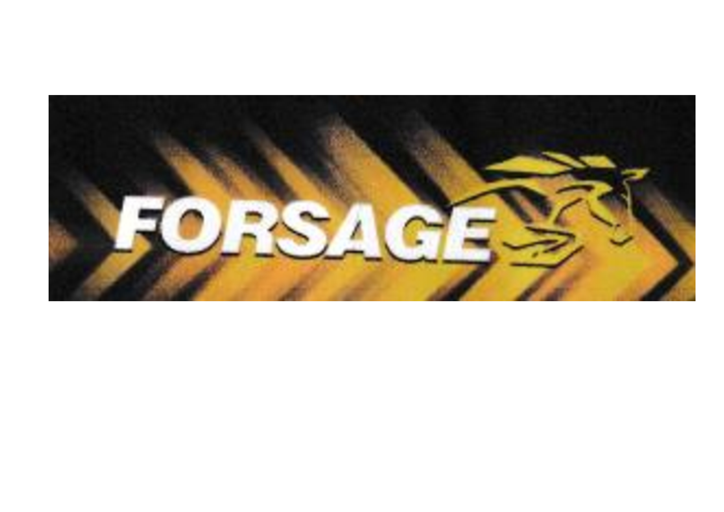 Бензин А-95 (Євро 5), АЗС FORSAGE, талон